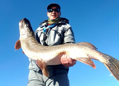 Northern Pike, 10.4 kg