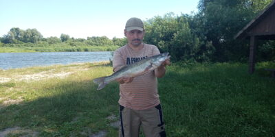 Pike perch, 2.0 kg — Skirvytė