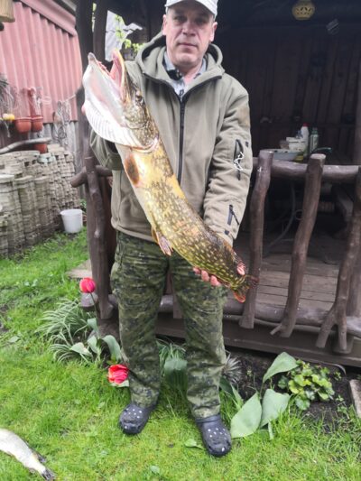 Northern Pike, 4.9 kg