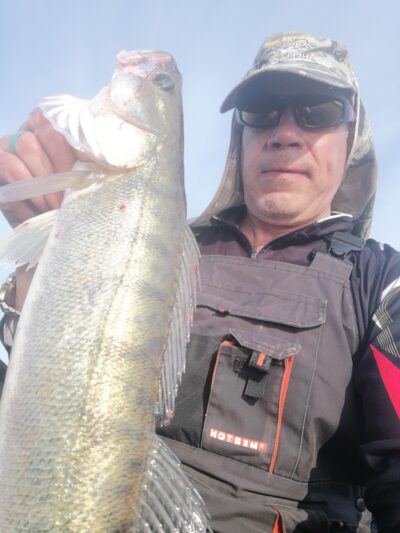 Pike perch, 2.0 kg — Kuršių