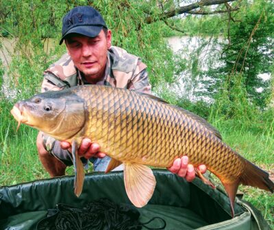 Carp, 7.1 kg