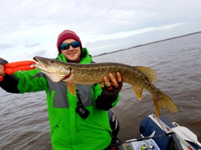 Northern Pike
