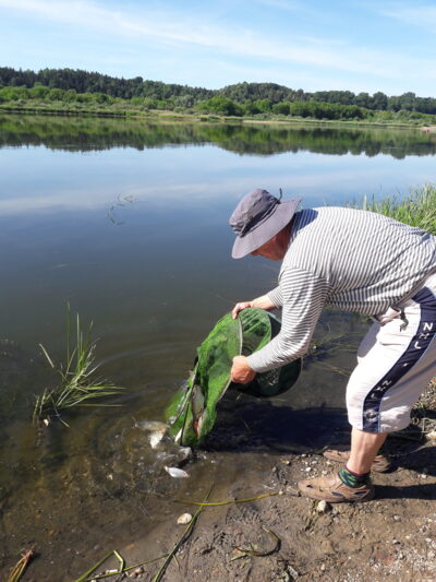 Zarte — Neman River