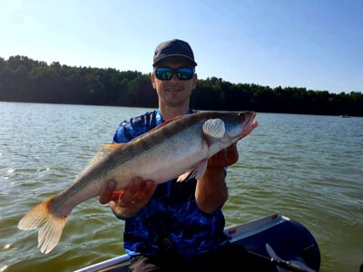 Pike perch