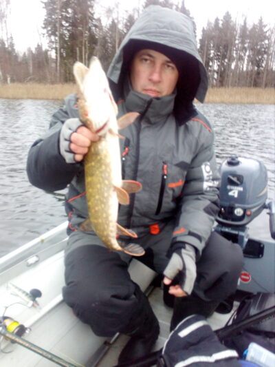 Northern Pike