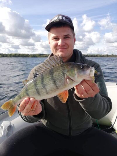 Eurasian perch, 0.8 kg