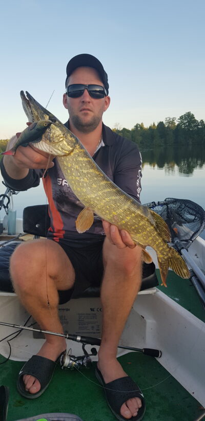 Northern Pike