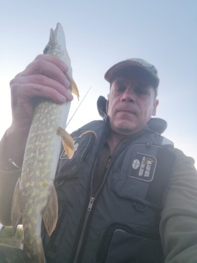 Northern Pike