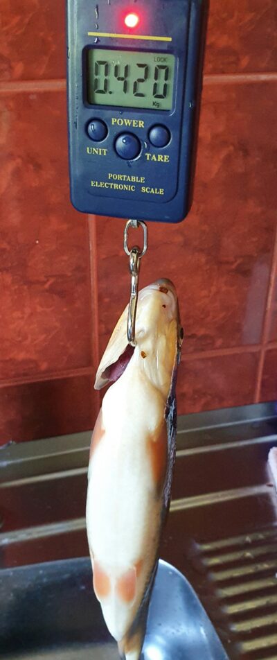 Zarte, 0.4 kg