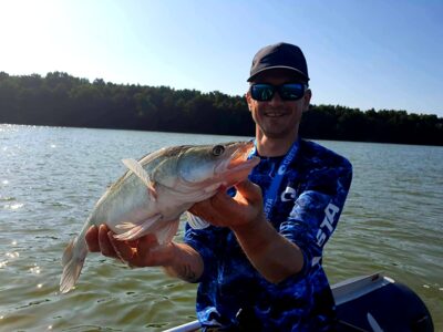 Pike perch