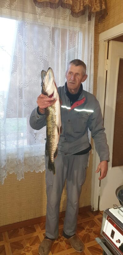 Northern Pike, 3.1 kg — Mūša