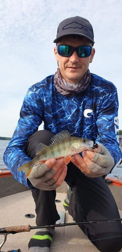Eurasian perch
