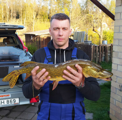 Northern Pike, 2.7 kg — Galuonai