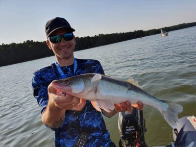 Pike perch