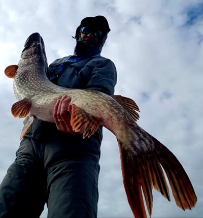 Northern Pike, 11.3 kg