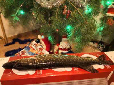 Northern Pike, 1.0 kg — Smeltalė
