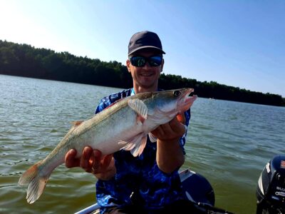 Pike perch