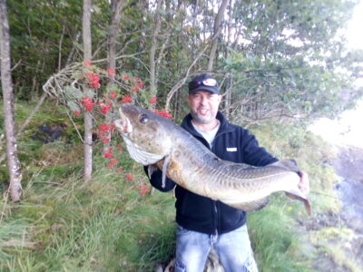 Pollock, 10.5 kg