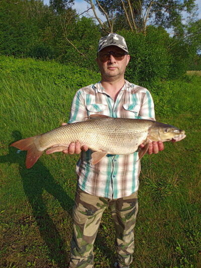 Barbel, 3.9 kg — Neman River