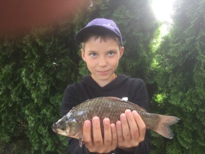 Crucian carp, 0.4 kg — Kretingos parko I-asis