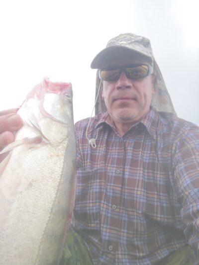 Pike perch, 2.3 kg — Kuršių