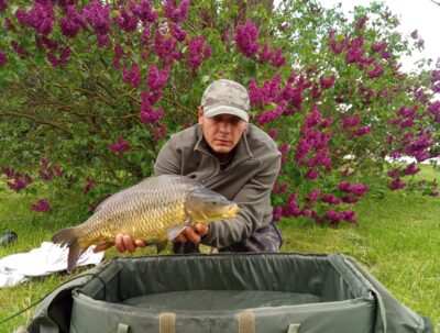 Mirror carp, 3.3 kg