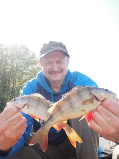 Eurasian perch ×4 — Aukštadvario HE