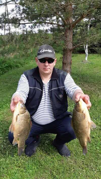 Prussian carp ×2