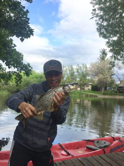 Carp, 1.4 kg — Redlich Pond