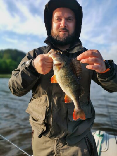 Eurasian perch, 0.6 kg — Neman River