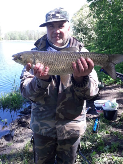 Grass carp ×2 — Petešos