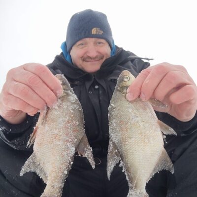 Carp bream