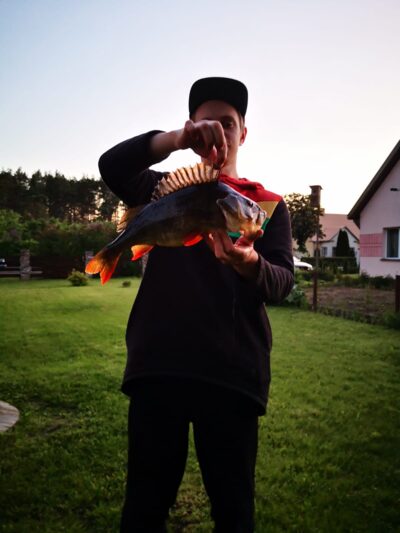 Eurasian perch, 1.1 kg