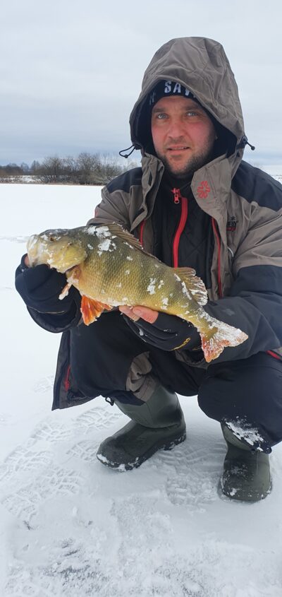 Eurasian perch, 1.0 kg
