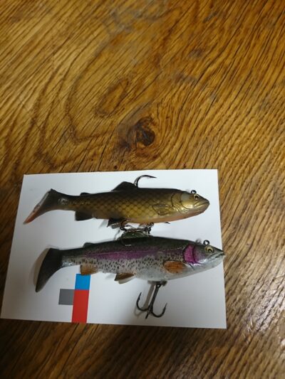 Brown Trout
