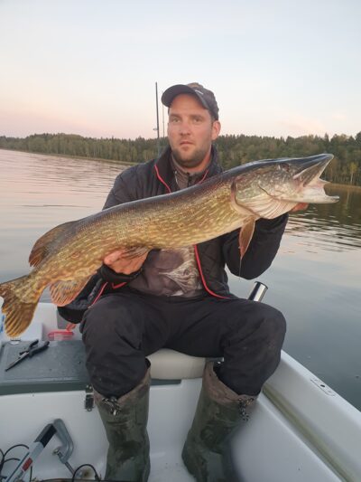 Northern Pike, 8.9 kg