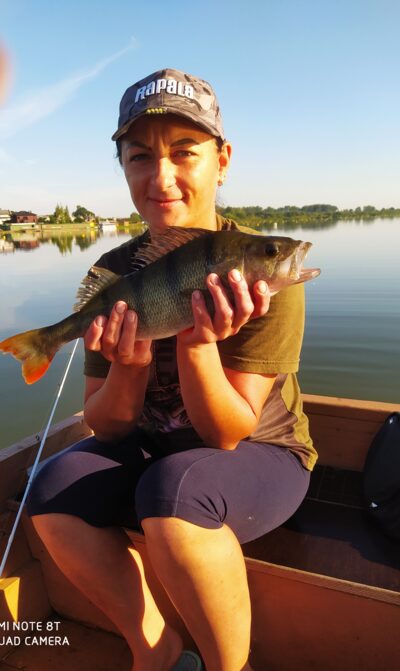 Eurasian perch, 1.0 kg — Talkša