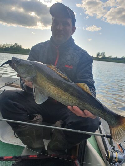 Pike perch, 2.7 kg