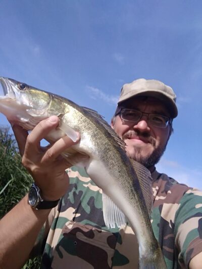 Pike perch