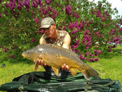 Carp, 8.7 kg