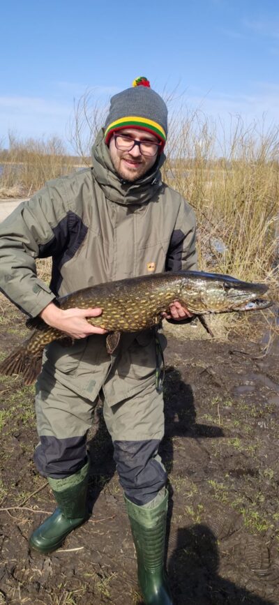 Northern Pike, 7.0 kg