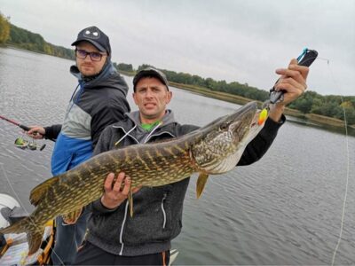 Northern Pike, 8.0 kg