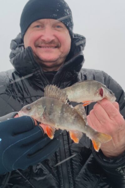 Eurasian perch