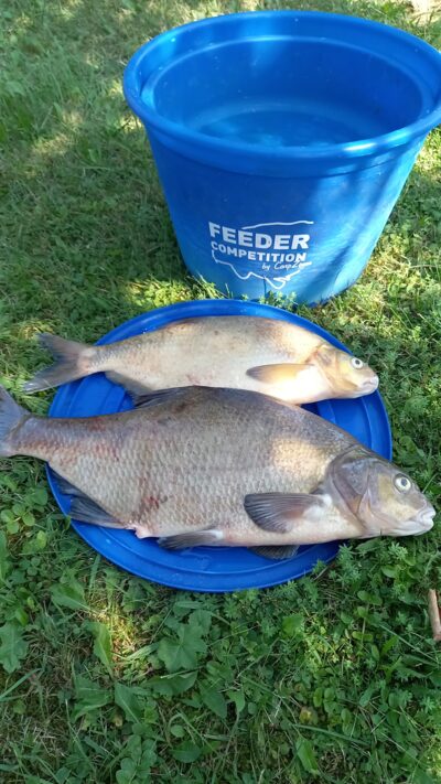 Carp bream ×2 — Neman River