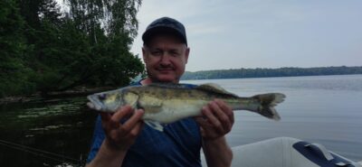 Pike perch