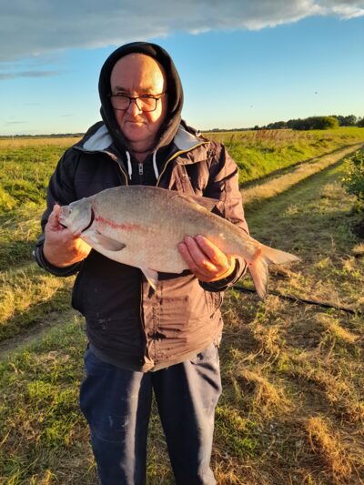 Carp bream