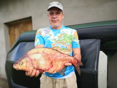 Carp bream, 2.6 kg — Kuršių