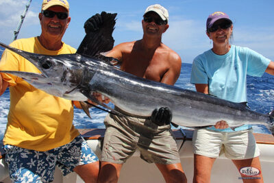 Striped marlin, 54.4 kg