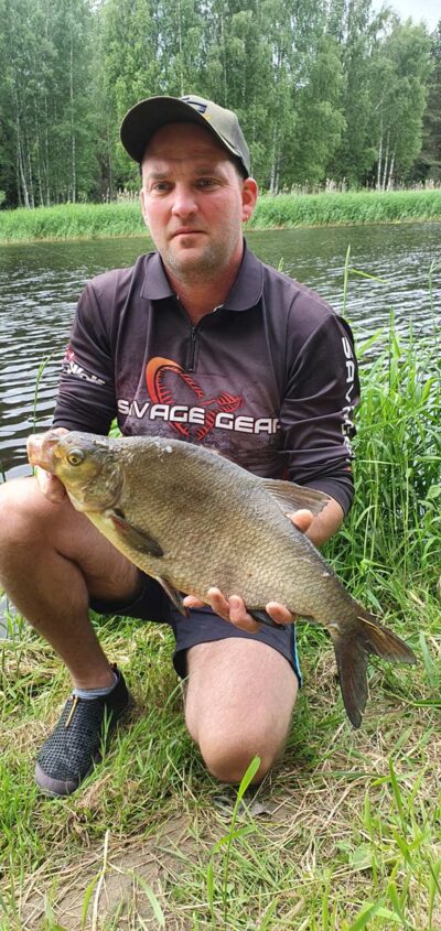 Carp bream, 2.5 kg