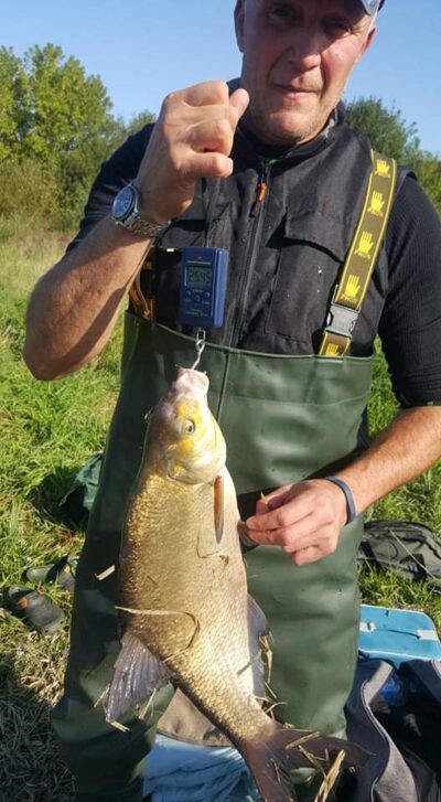 Carp bream, 2.5 kg — Neman River